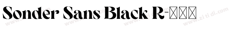 Sonder Sans Black R字体转换 Sonder Sans Black R字体转换